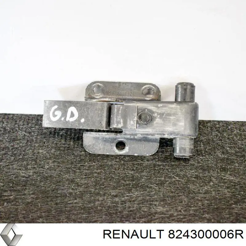  824300006R Renault (RVI)