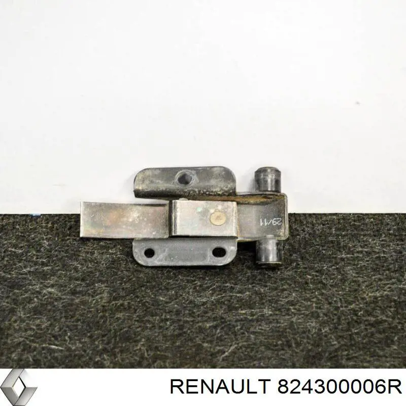 824300006R Renault (RVI) 