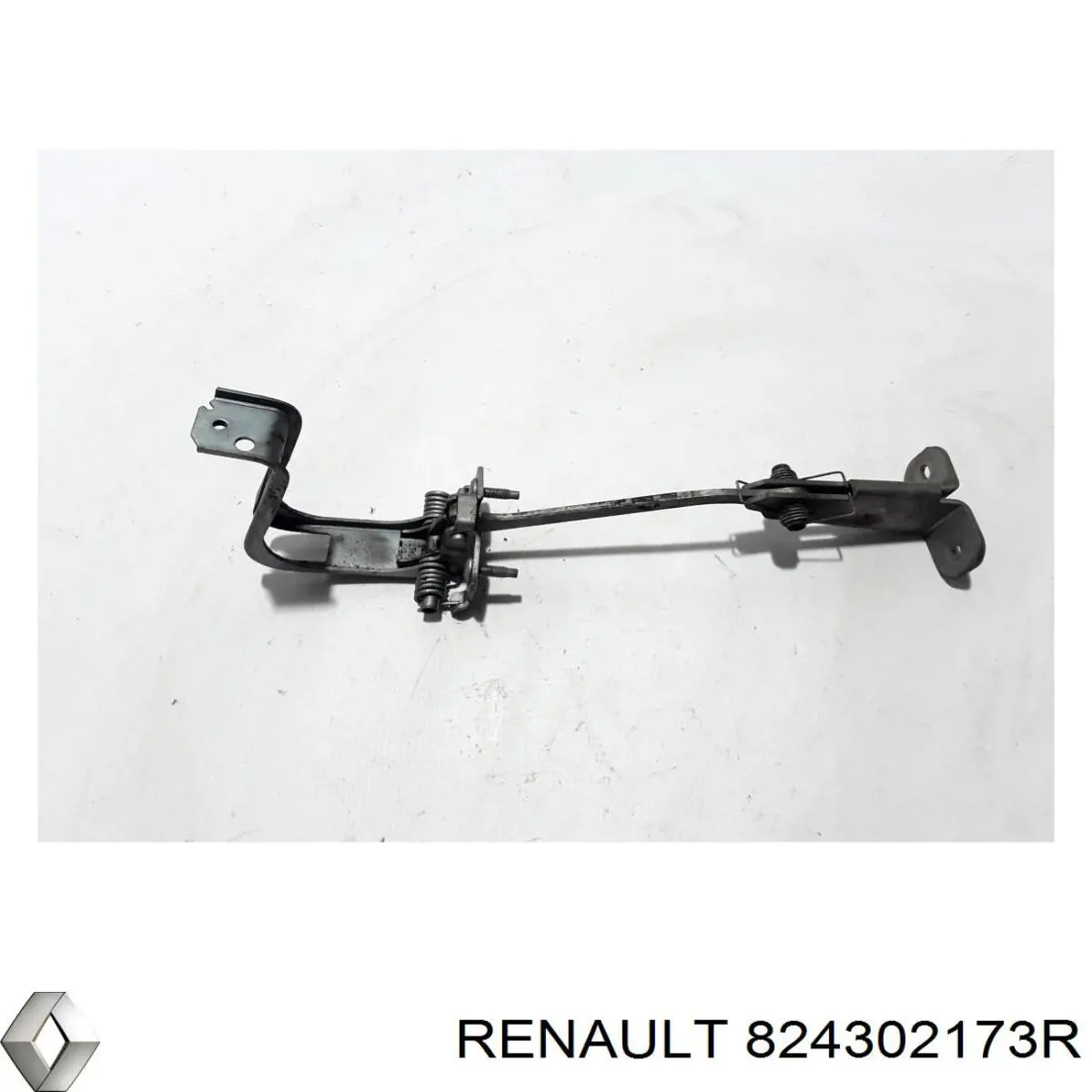  824302173R Renault (RVI)