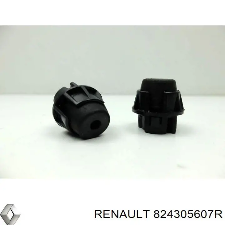 Ограничитель открывания задней двери Renault (RVI) 824305607R