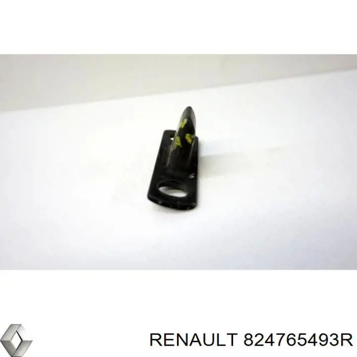 824765493R Renault (RVI) 