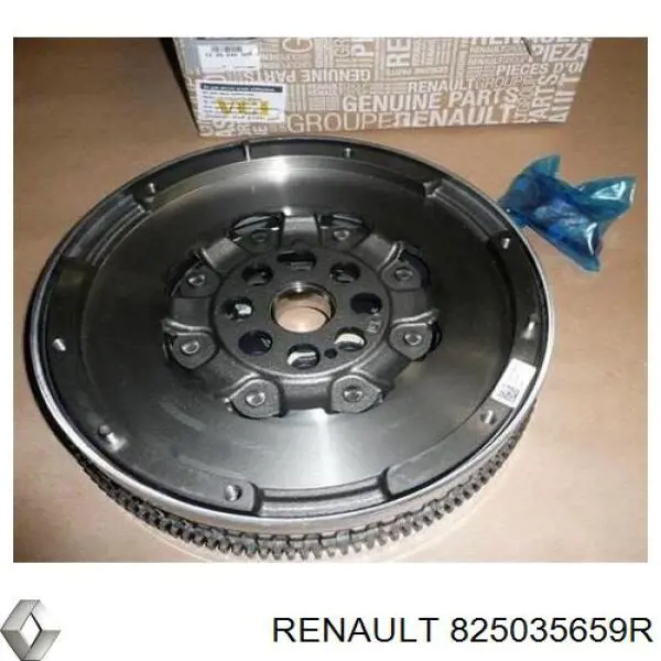  825035659R Renault (RVI)