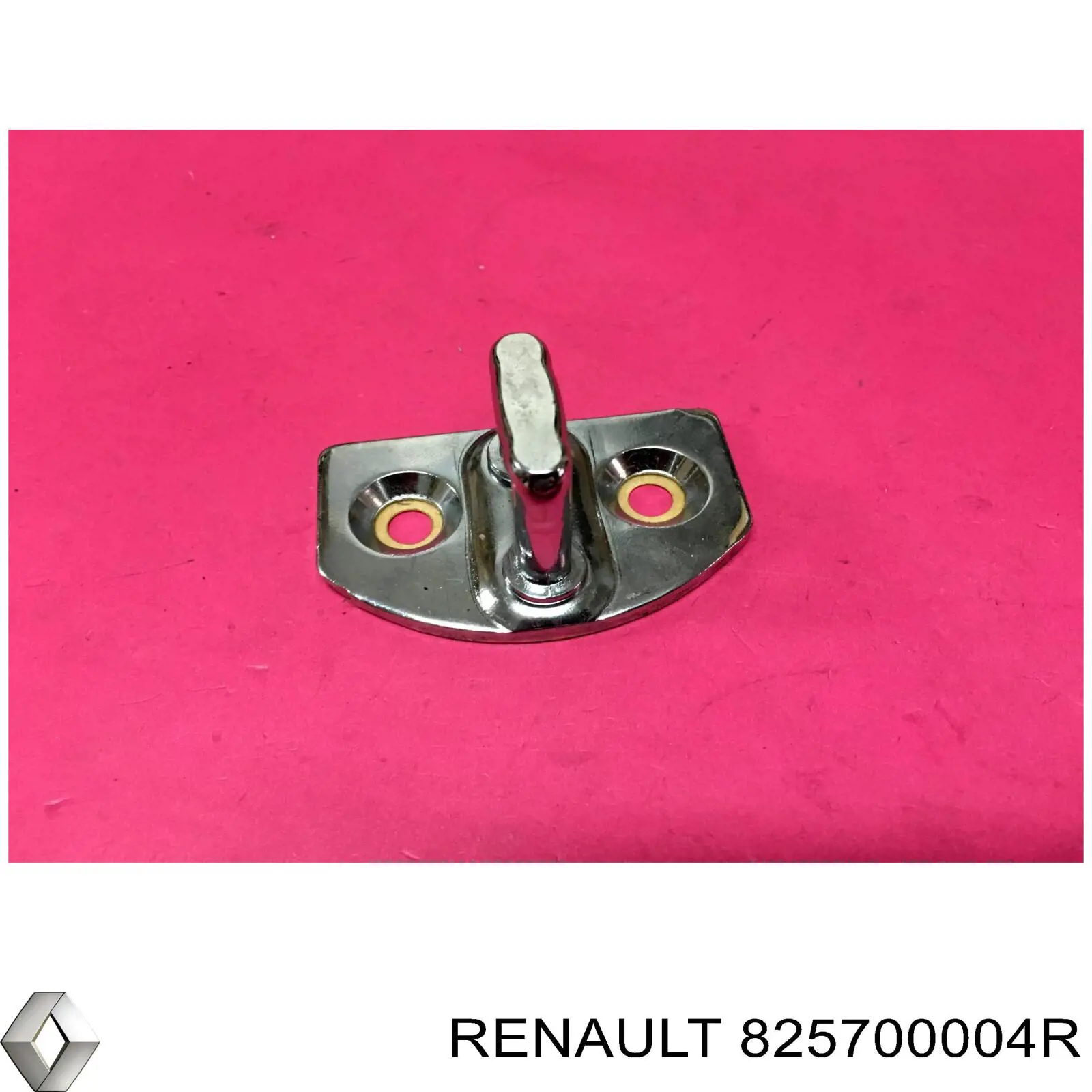  825700004R Renault (RVI)