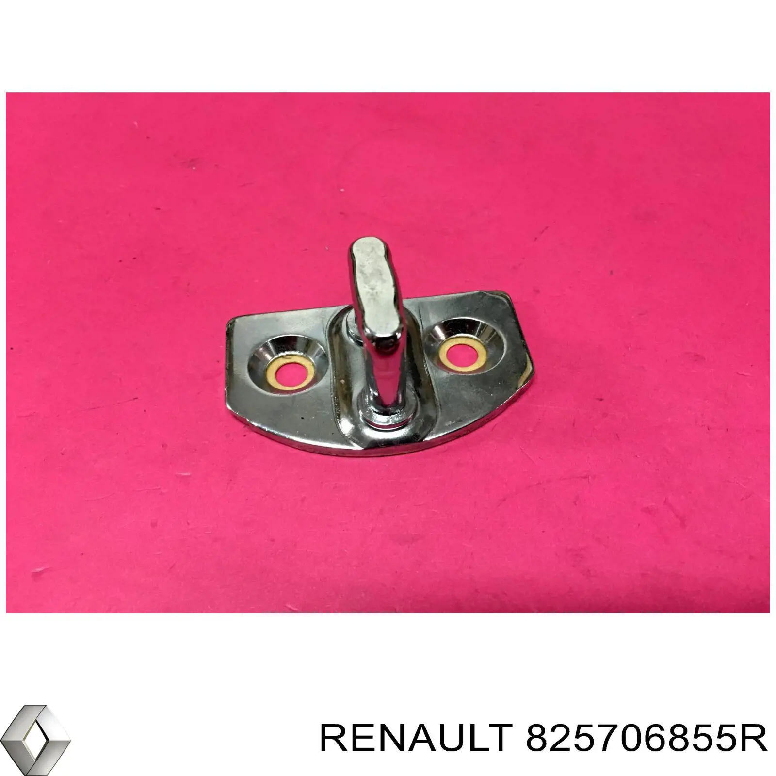 825706855R Renault (RVI) 