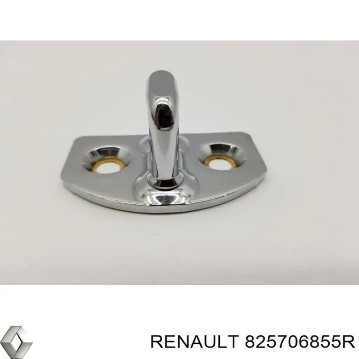 825700004R Renault (RVI) 