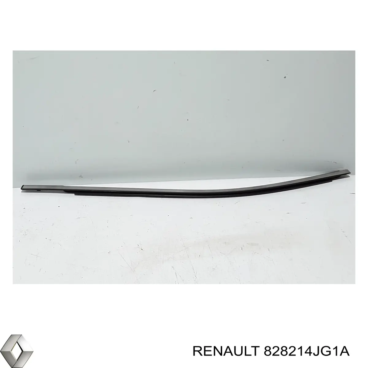 828214JG1A Nissan/Infiniti 