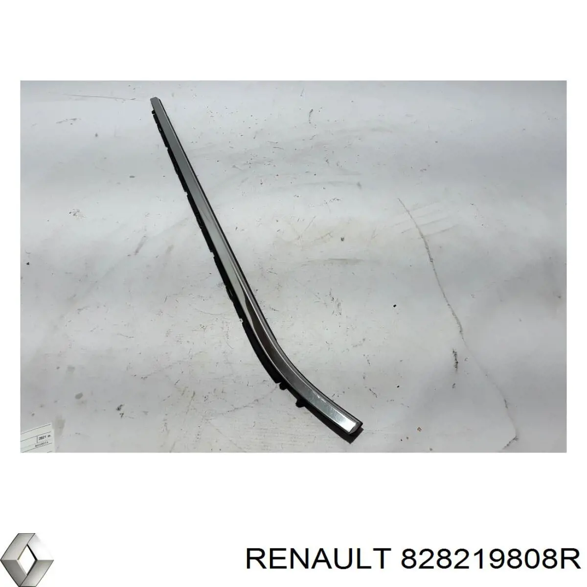 828219808R Renault (RVI) 