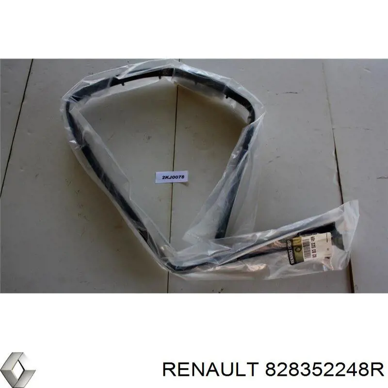 828352248R Renault (RVI) 