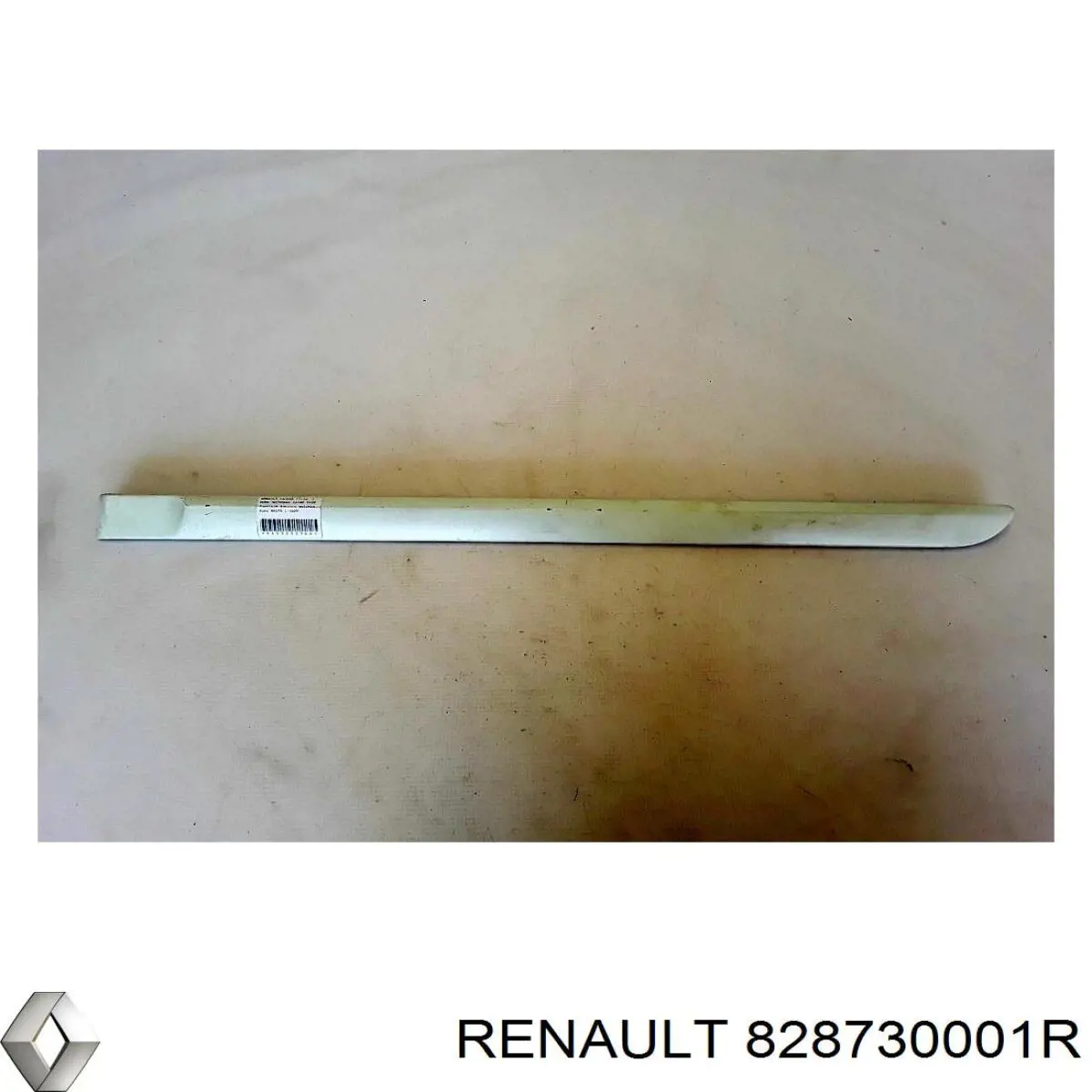  828730001R Renault (RVI)