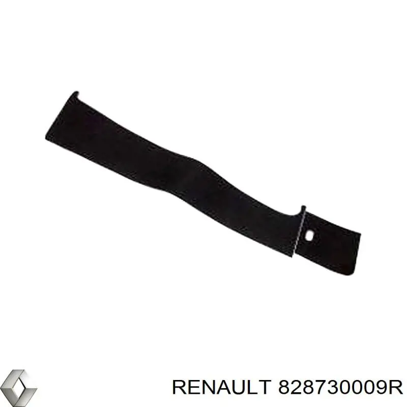 828730009R Renault (RVI)