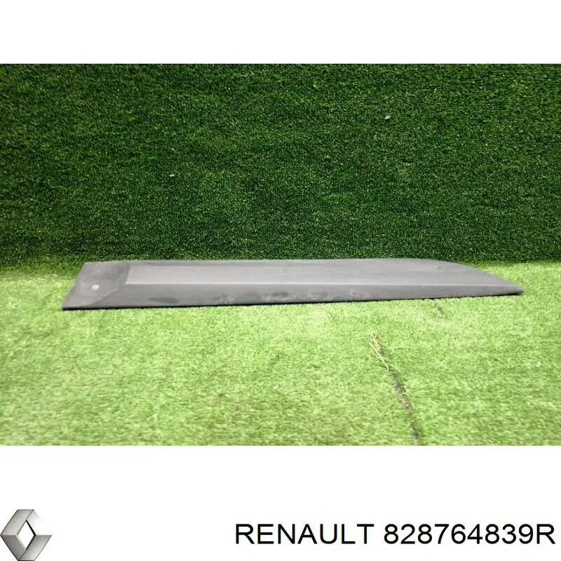 Молдинг двери задней правой Renault (RVI) 828764839R цена, от 39.55 USD