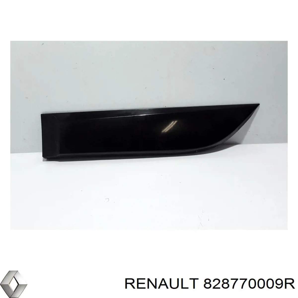 828770009R Renault (RVI)