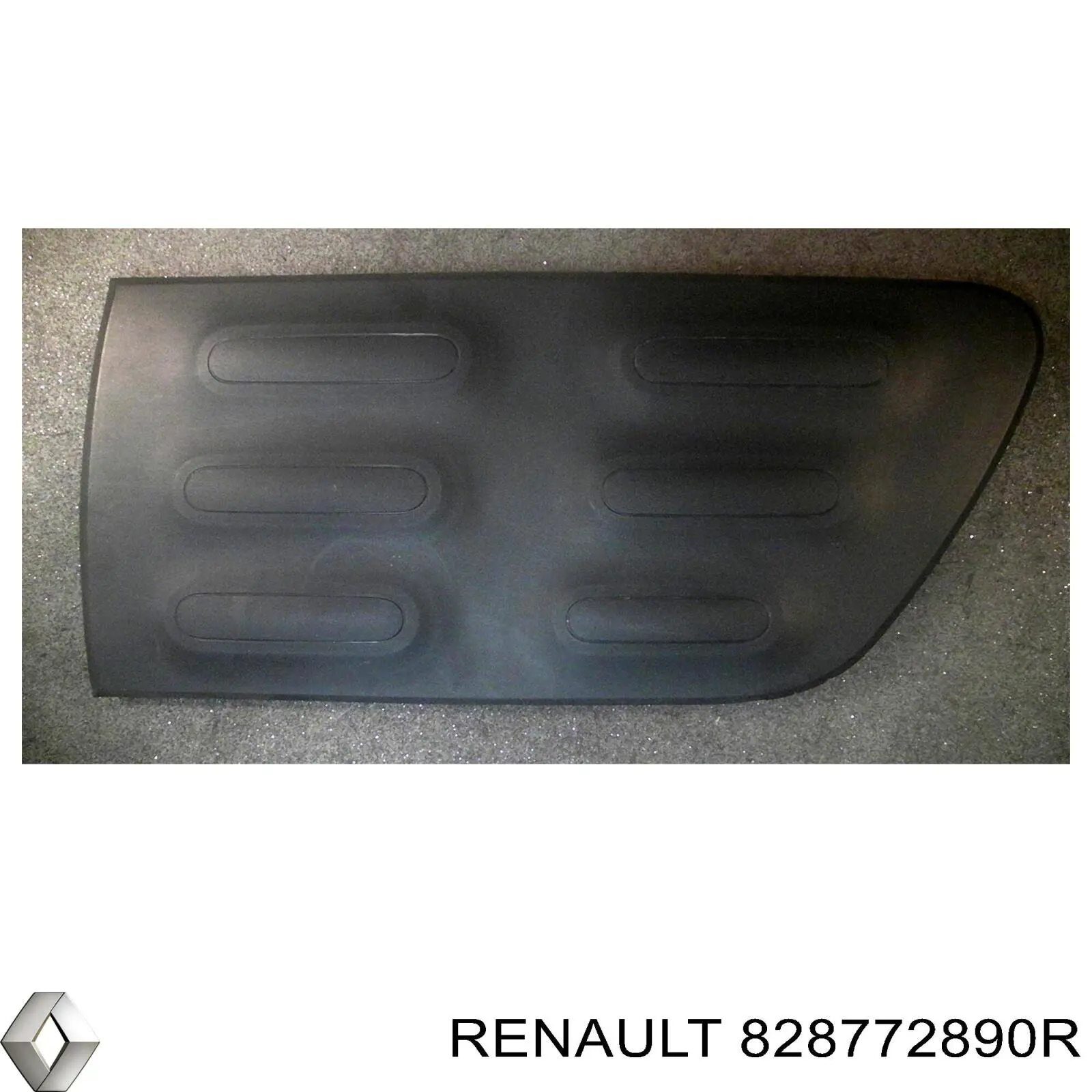 Молдинг двери задней левой нижний 828772890R Renault (RVI)