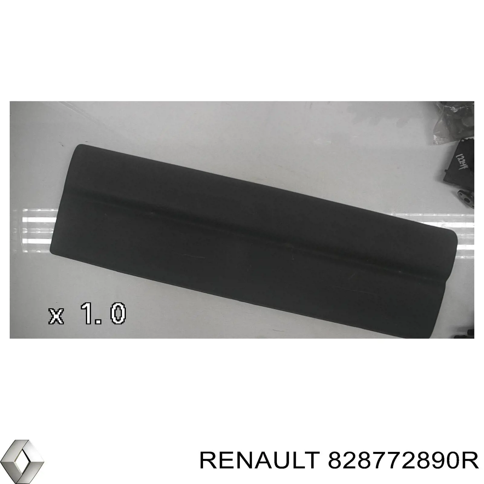 828772890R Renault (RVI) Молдинг двери задней левой нижний
