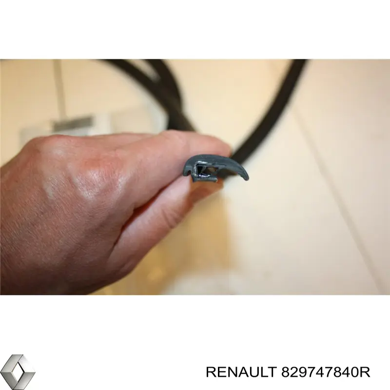  829747840R Renault (RVI)