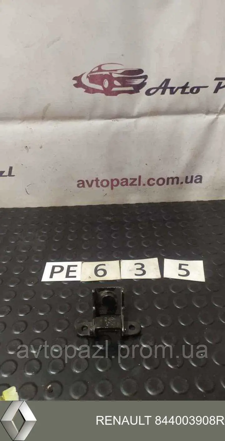 Петля задней двери 844003908R Renault (RVI)