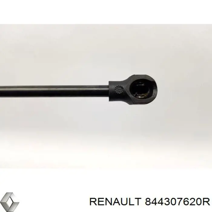 Амортизатор багажника 844307620R Renault (RVI)