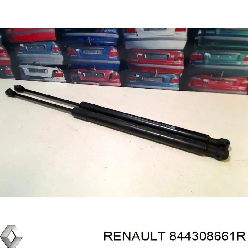 Газовый упор багажника Renault (RVI) 844308661R