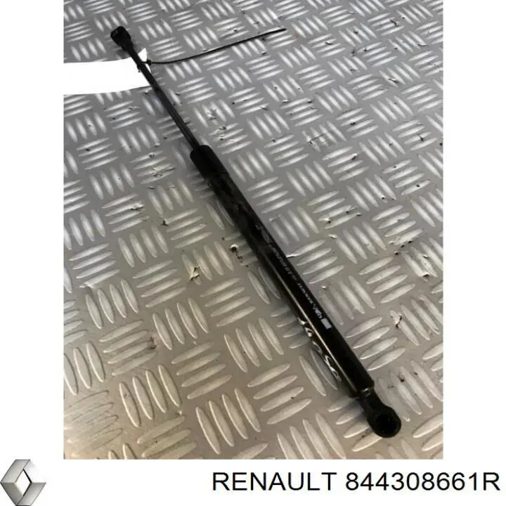 844308661R Renault (RVI)