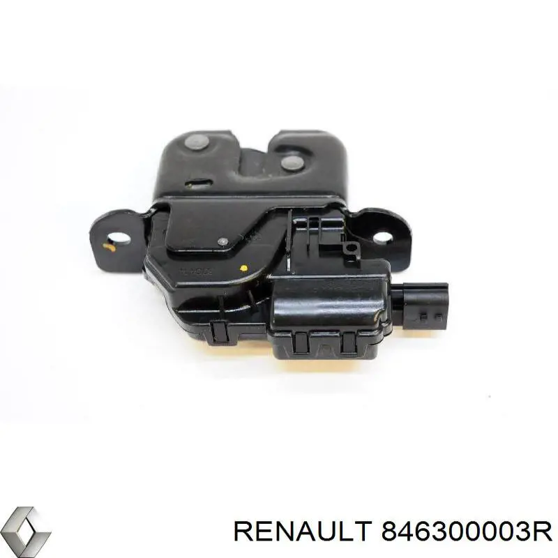 846300003R Renault (RVI)