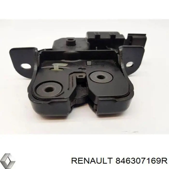 846307169R Renault (RVI)