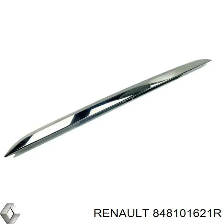  848101621R Renault (RVI)