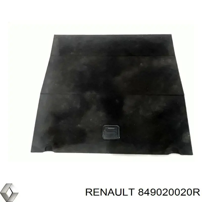  849020020R Renault (RVI)