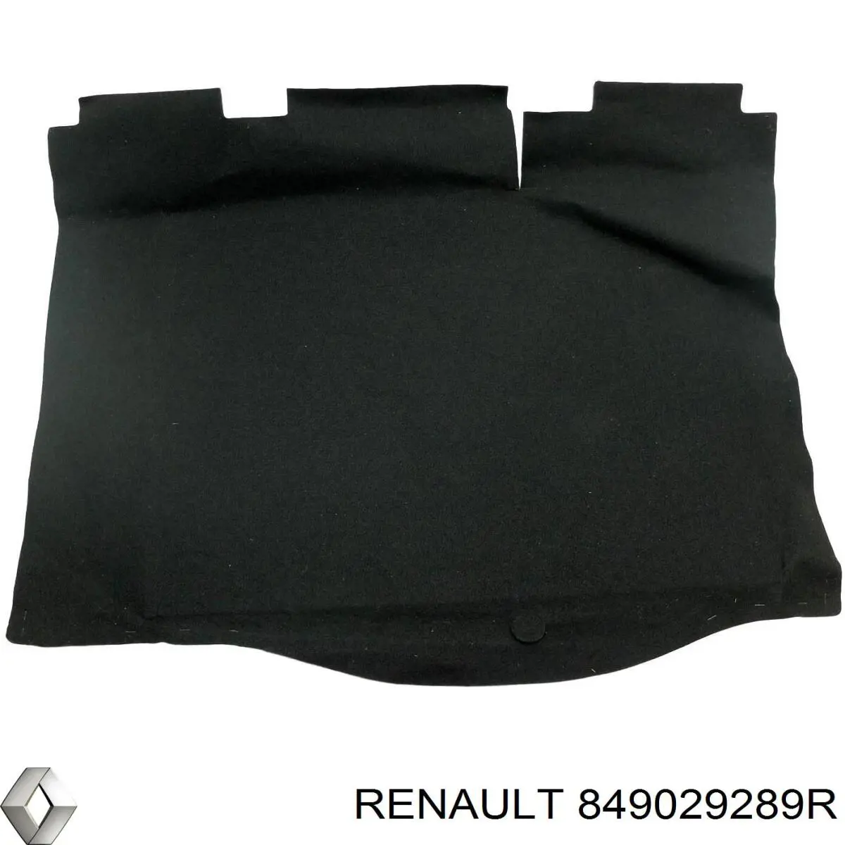 849029289R Renault (RVI) 