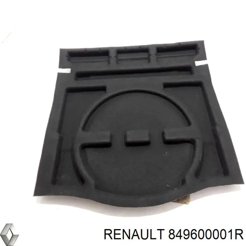  849600001R Renault (RVI)