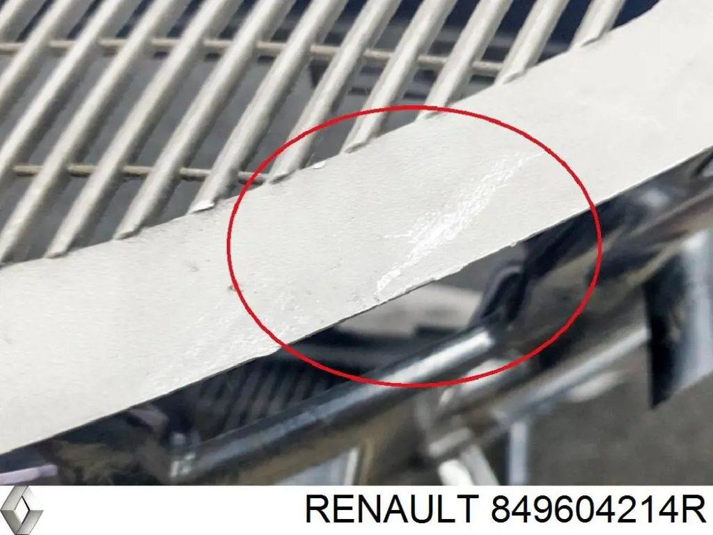  Renault (RVI) 849604214R цена, от 8.79 USD