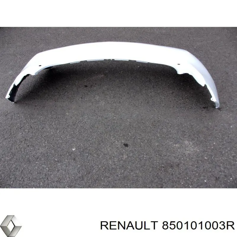  850101003R Renault (RVI)