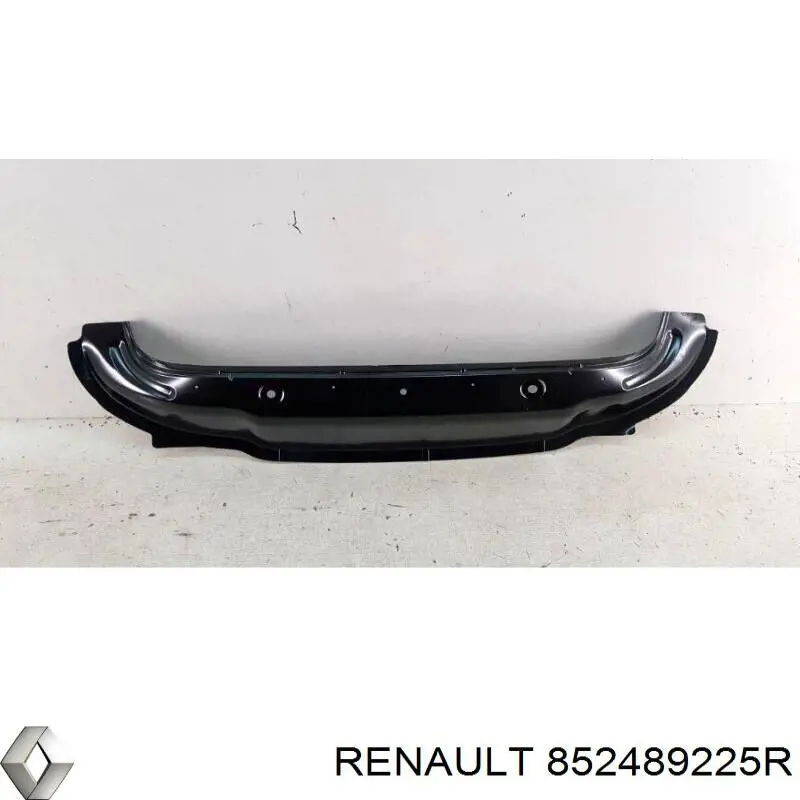 852489225R Renault (RVI)