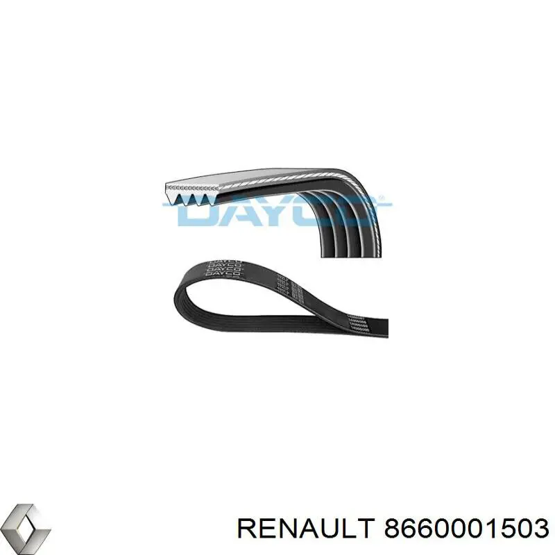 8660001503 Renault (RVI)