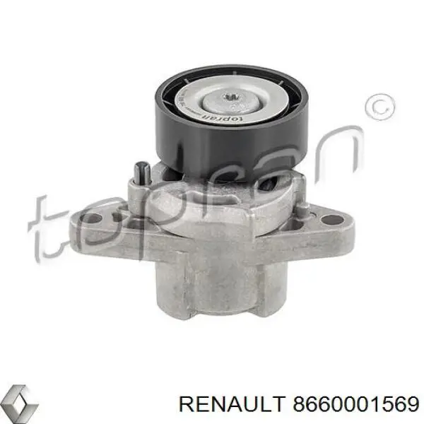  8660001569 Renault (RVI)