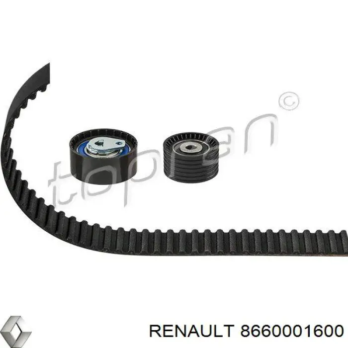 8660001600 Renault (RVI) комплект грм