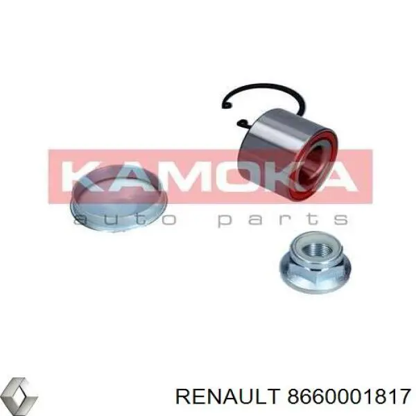 Подшипник задней ступицы 8660001817 Renault (RVI)