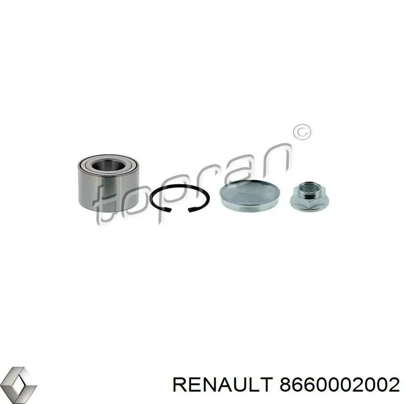 8660002002 Renault (RVI)
