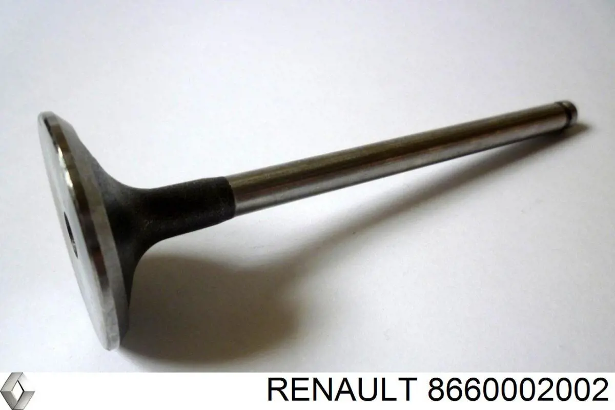 Купить 8660002002 Renault (RVI) Диск тормозной задний