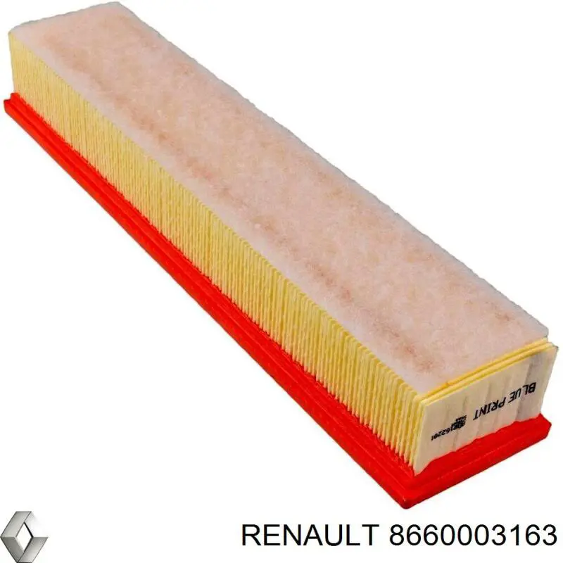 8660003163 Renault (RVI) воздушный фильтр
