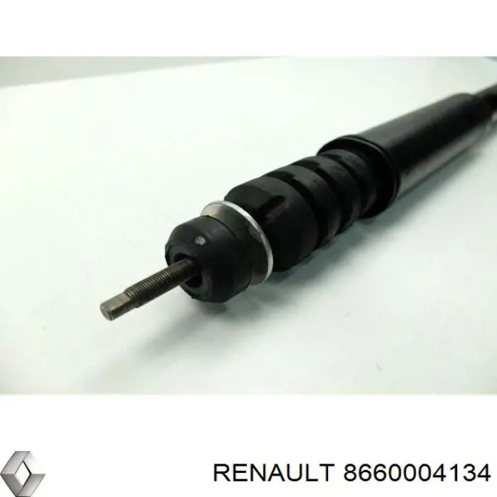 Амортизатор задний 8660004134 Renault (RVI)