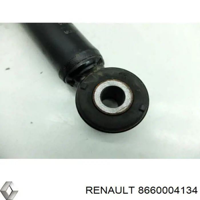 Задний амортизатор Renault (RVI) 8660004134