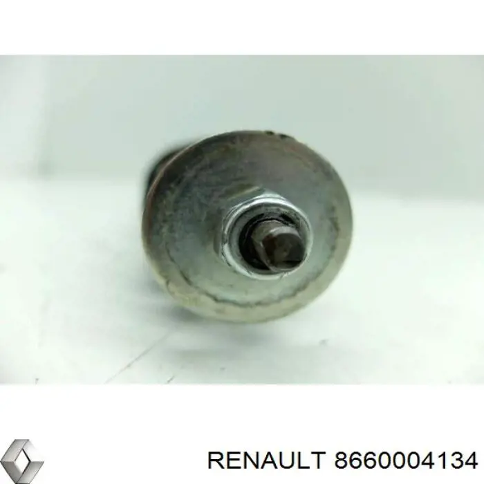 8660004134 Renault (RVI) Амортизаторы задние