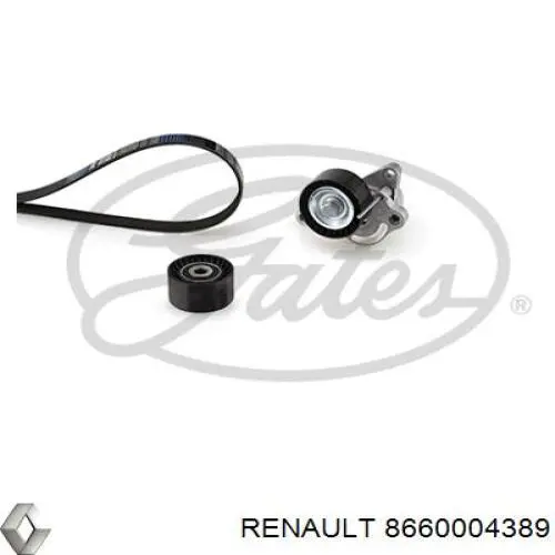 Ремень агрегатов приводной, комплект Renault (RVI) 8660004389 цена, от 44.29 USD