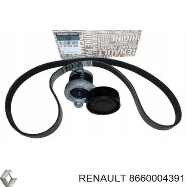 8660004391 Renault (RVI)