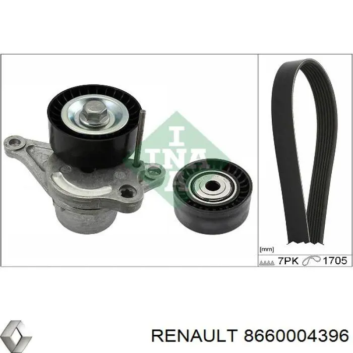 Ремень агрегатов приводной, комплект 8660004396 Renault (RVI)