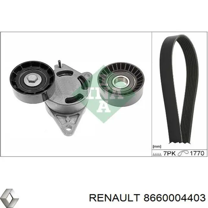 Комплект ГРМ 8660004403 Renault (RVI)