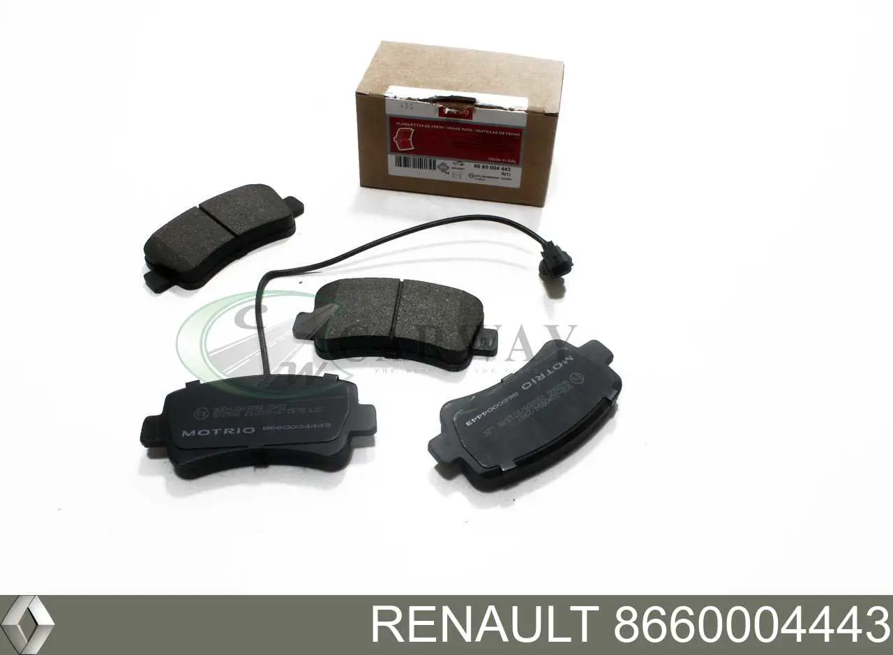 Задние тормозные колодки 8660004443 Renault (RVI)