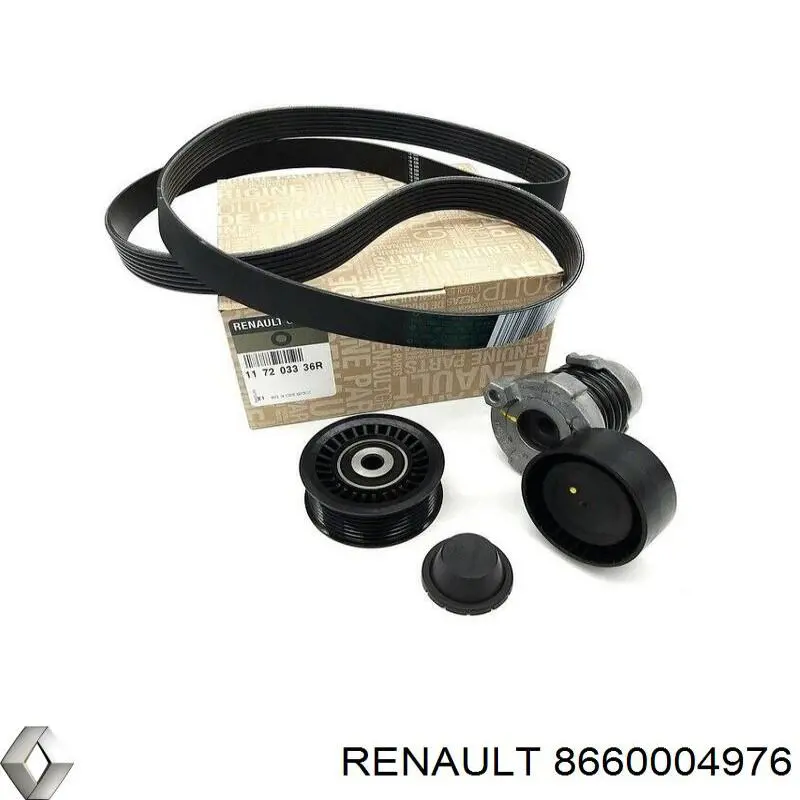 Ремень агрегатов приводной, комплект 8660004976 Renault (RVI)