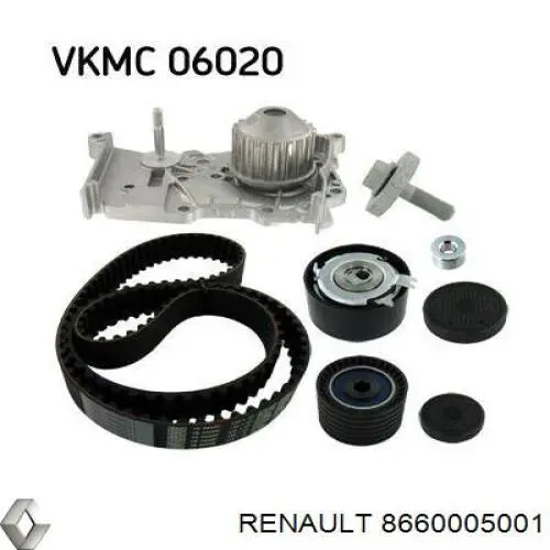 8660005001 Renault (RVI) 