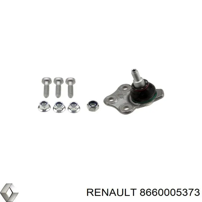 8660005373 Renault (RVI)